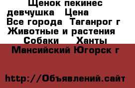 Щенок пекинес девчушка › Цена ­ 2 500 - Все города, Таганрог г. Животные и растения » Собаки   . Ханты-Мансийский,Югорск г.